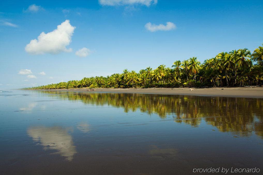Clandestino Beach Resort Parrita Kemudahan gambar