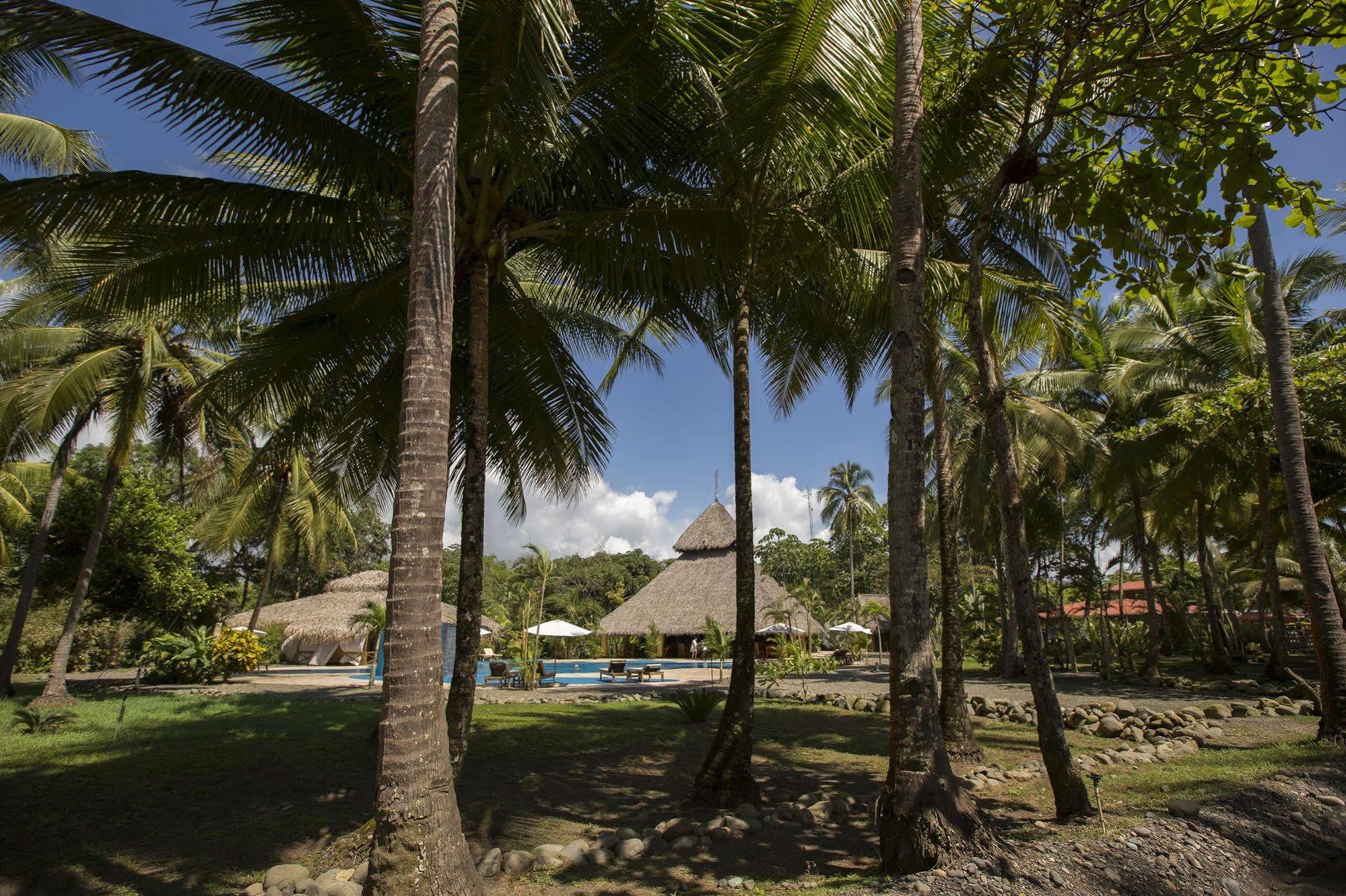 Clandestino Beach Resort Parrita Luaran gambar