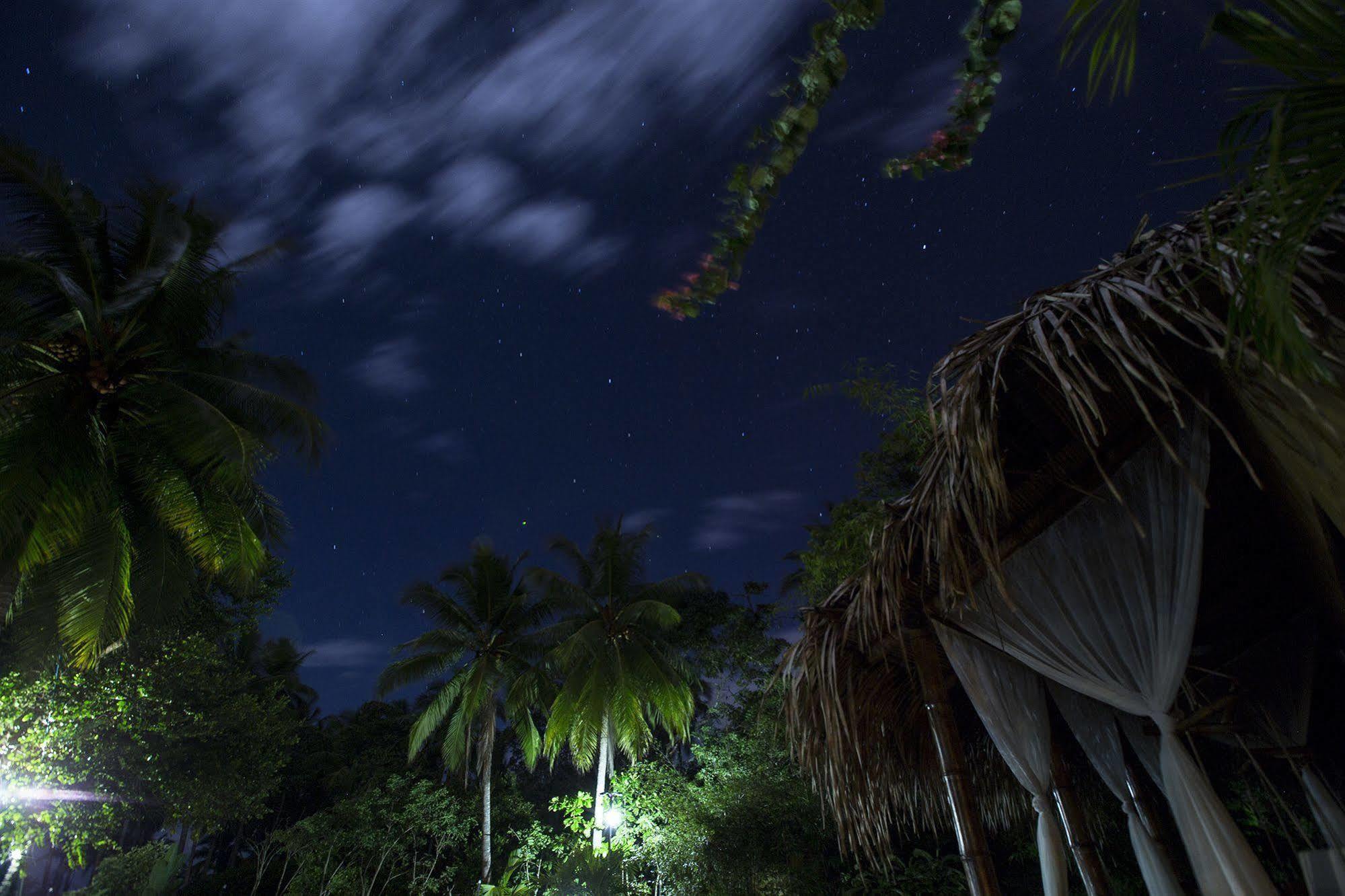 Clandestino Beach Resort Parrita Luaran gambar