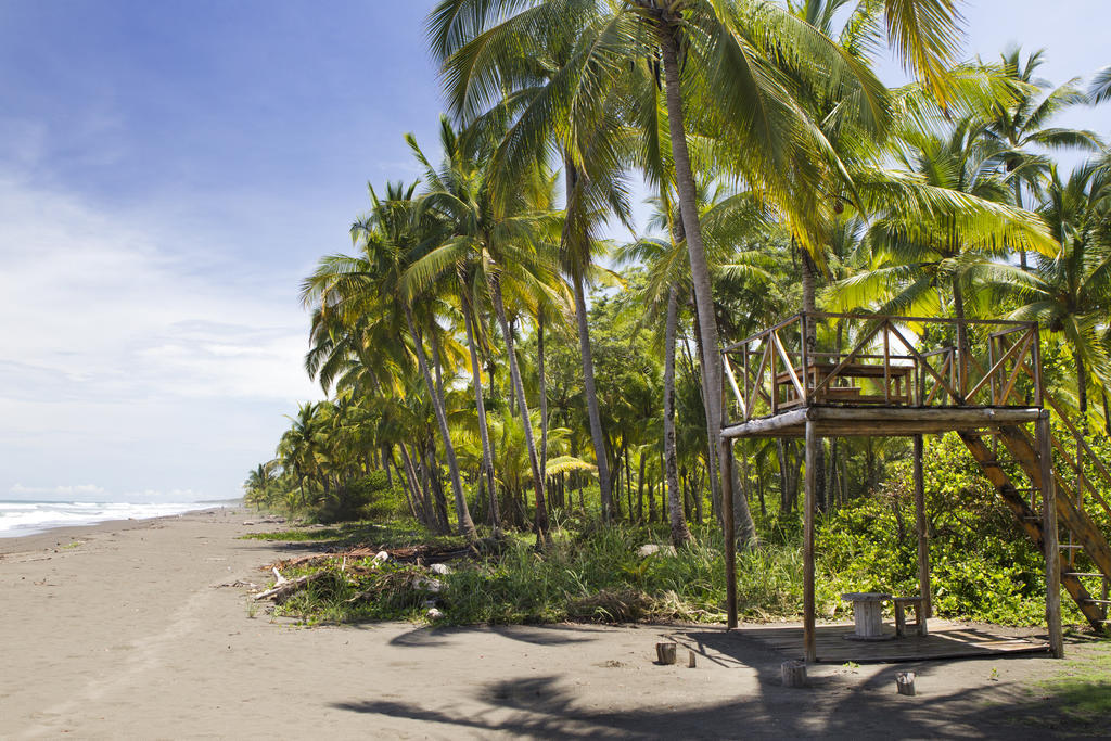 Clandestino Beach Resort Parrita Luaran gambar