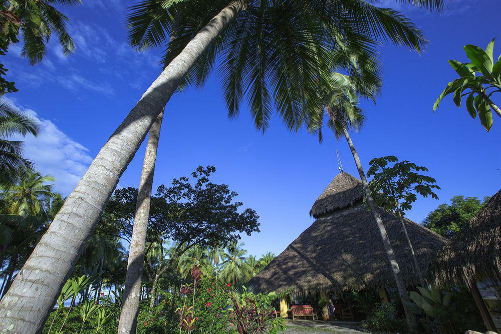 Clandestino Beach Resort Parrita Luaran gambar